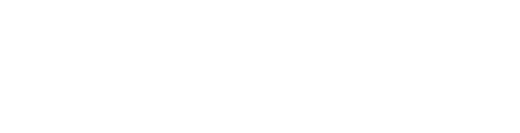 빅사렌탈로고